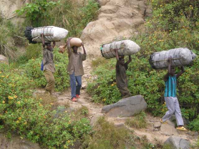 Chemin des collines